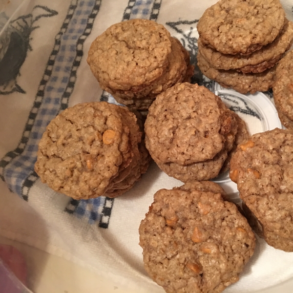 Orange's Famous Oatmeal Scotchies!