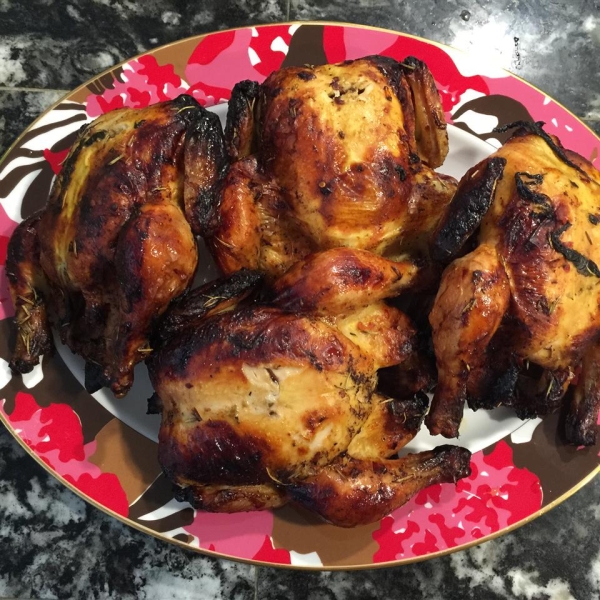 Grilled Game Hens with Blood Orange and Rosemary