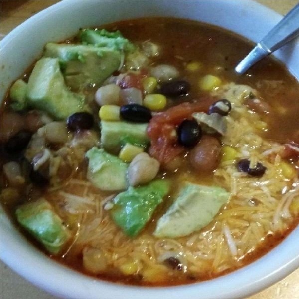 Spicy Tortilla Bean Soup