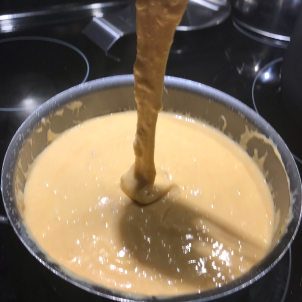 Basic Fondue