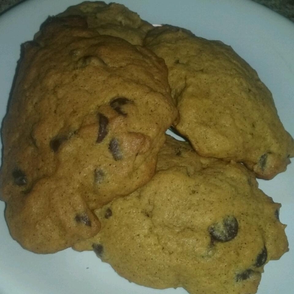 Crystal's Chocolate Chip Pumpkin Cookies