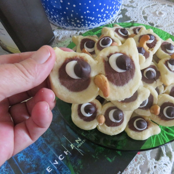 Hoot Owl Cookies