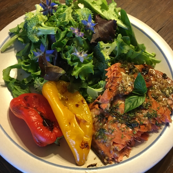 Mediterranean Salmon