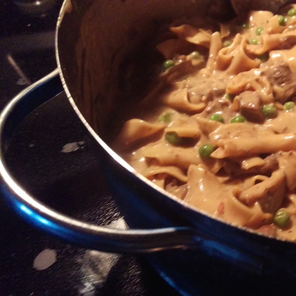 JayBeez Beef Stroganoff