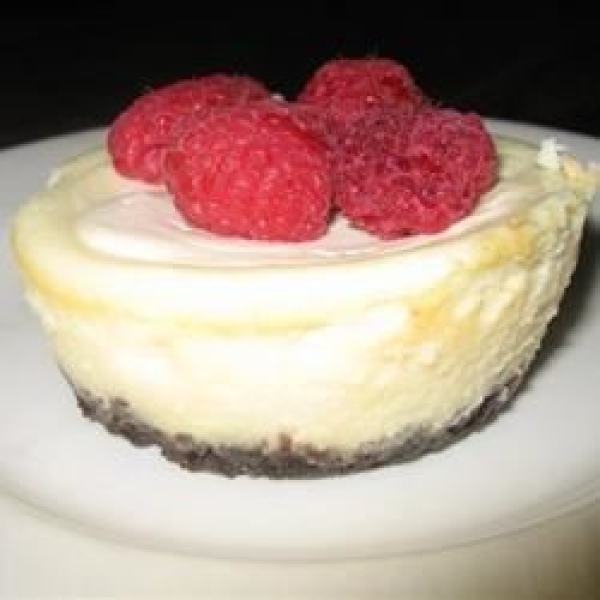 Mini Cheesecake Cups with Sour Cream Topping