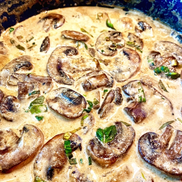 Easy Creamy Mushroom Stew