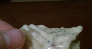 Amazing Broccoli Dip