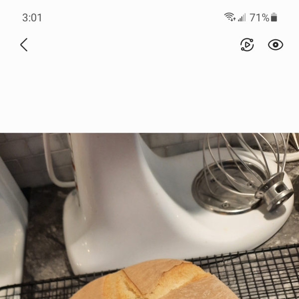 Crusty Dutch Oven Bread