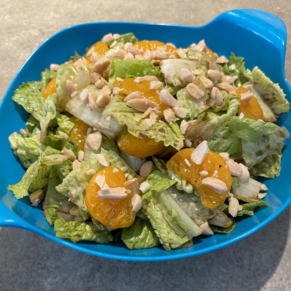 Tossed Romaine and Orange Salad