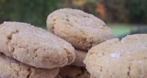 Ginger and Spice Cookies