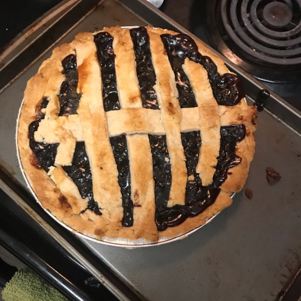 Basic Flaky Pie Crust