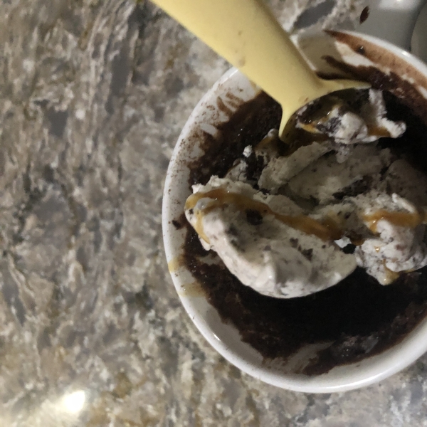 Microwave Chocolate Mug Cake