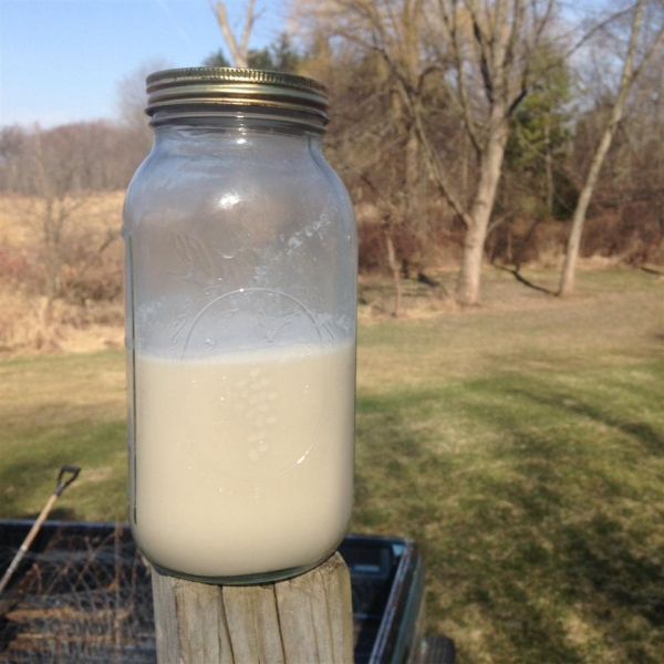 Linda's Coconut Horchata