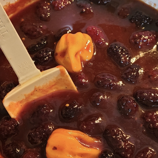 Blackberry Habanero BBQ Sauce