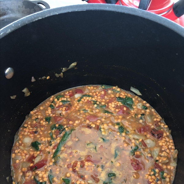 Bryan's Spicy Red Lentil Soup