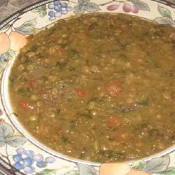 Bryan's Spicy Red Lentil Soup