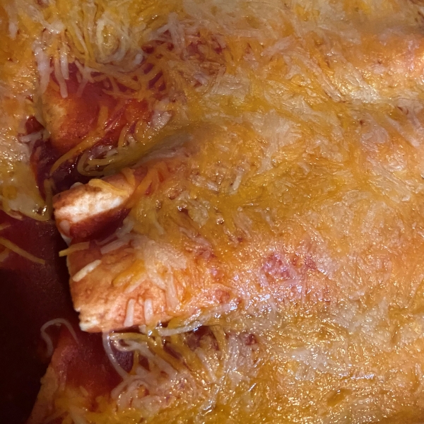 Chicken Enchiladas