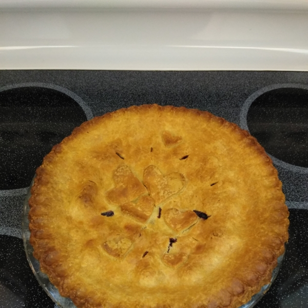 Fresh Blueberry Pie I