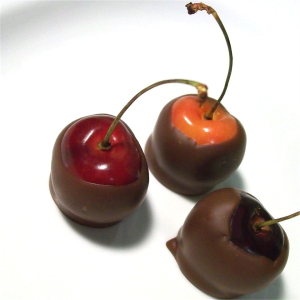 Chocolate Dipped Bing Cherries