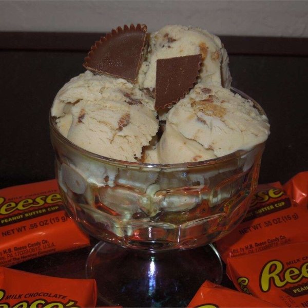 Peanut Butter Cup Ice Cream