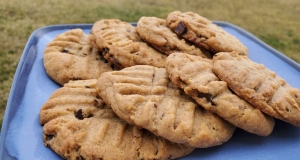 Vegan Chocolate Almond Butter Cookies