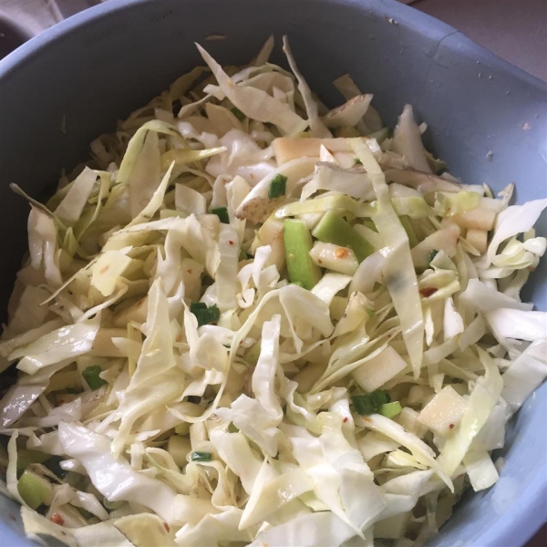 Easy Apple Cabbage Slaw