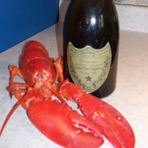 Champagne Lobster