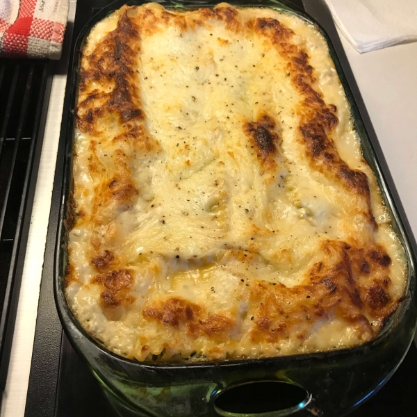 Lasagna Alfredo