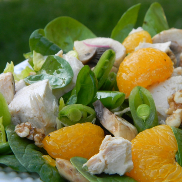 Turkey and Citrus Salad