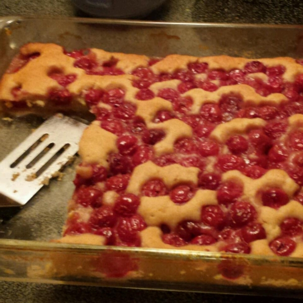 Sour Cherry Pudding Cake