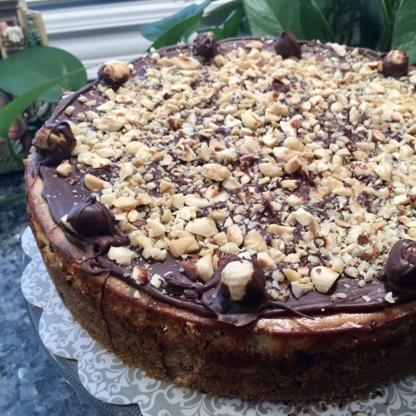 Heavenly Chipped Chocolate and Hazelnut Cheesecake