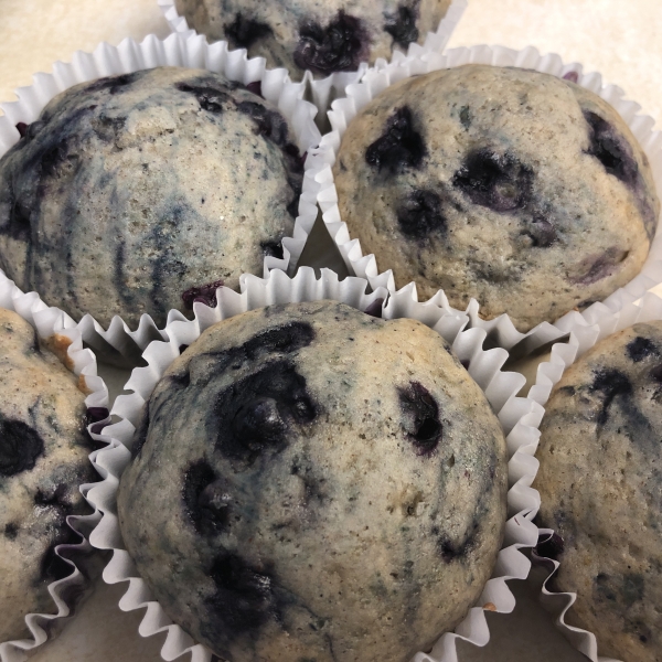 Best 100 Calorie Blueberry Muffins