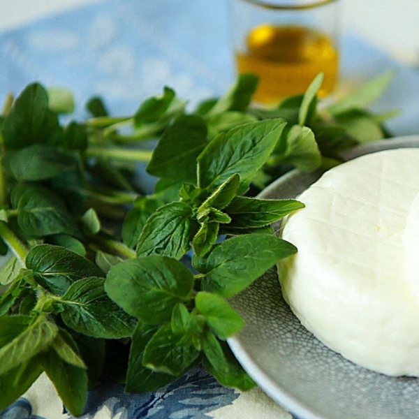 Homemade Feta Cheese