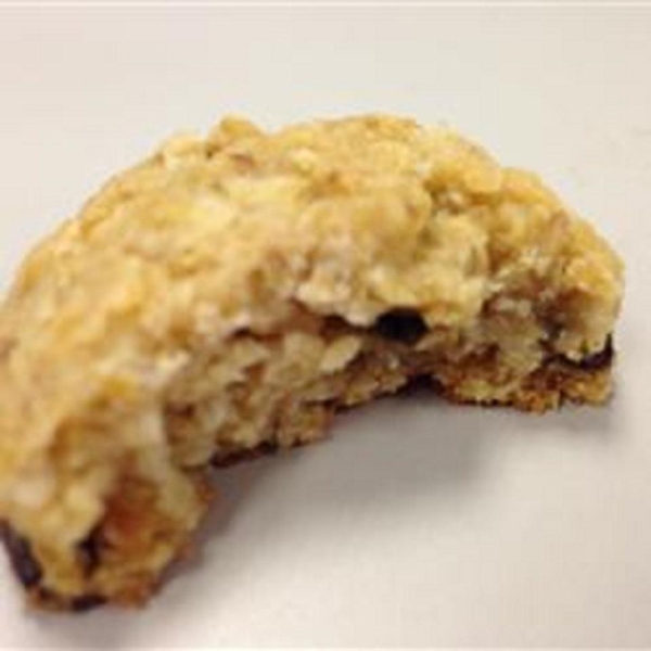 Vegan Gluten-Free Lactation Cookies