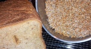 Essene Bread for the Bread Machine