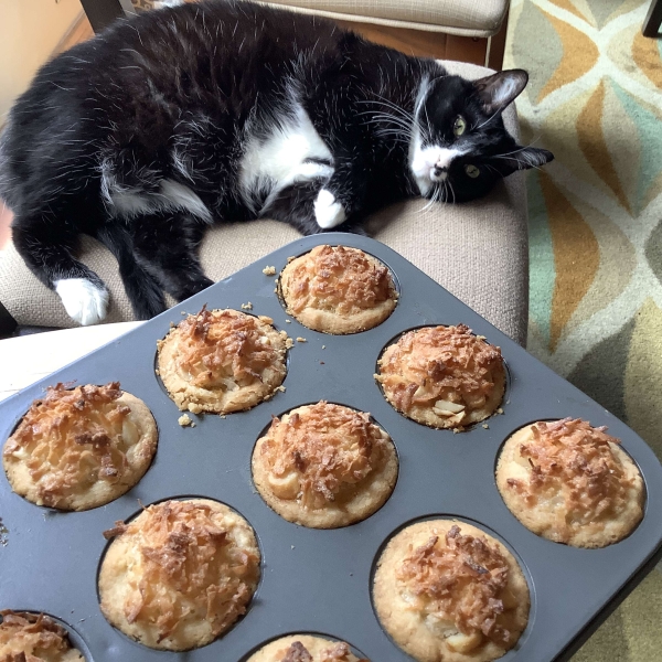 Hawaiian Cookie Tarts