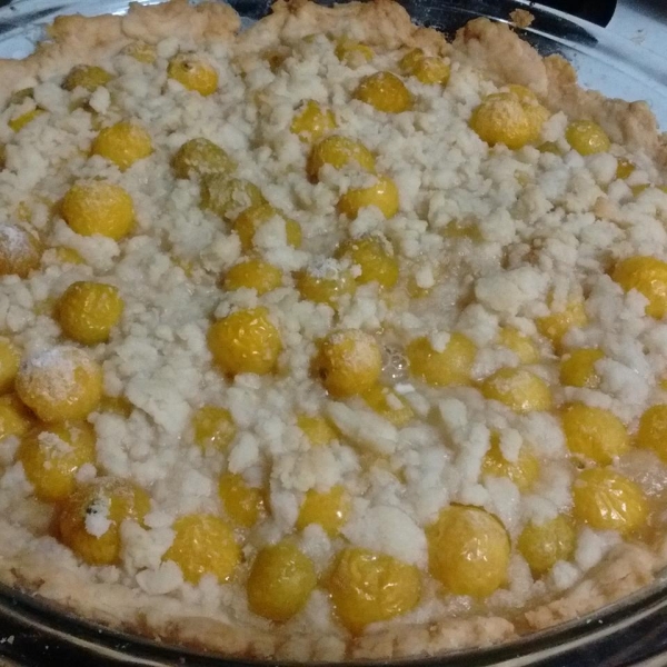 Ground Cherry Pie II