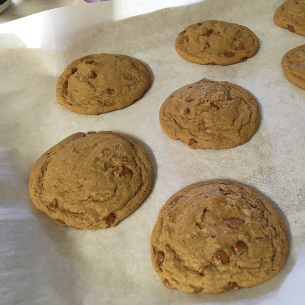 Cinnamon, Spice and Everything Nice Cookies