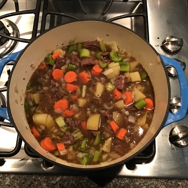 Beef Stew VI