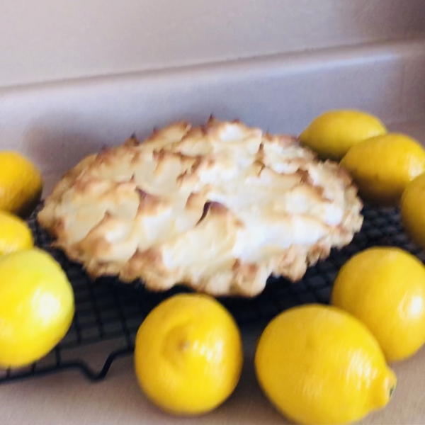 Agave-Sweetened Lemon Meringue Pie