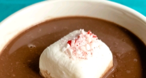 Chocolate Lover's Hot Chocolate
