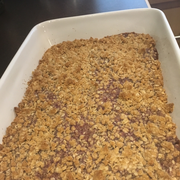 Oatmeal Jam Squares