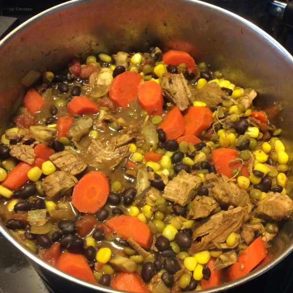 Tender Pork Stew with Beans