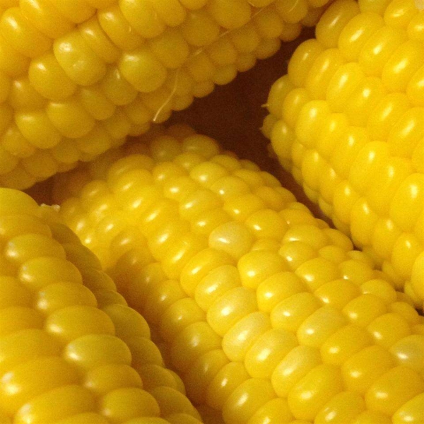 Corn on the Cob (Easy Cleaning and Shucking)