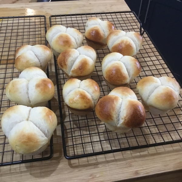 Grandma's Clover Leaf Rolls
