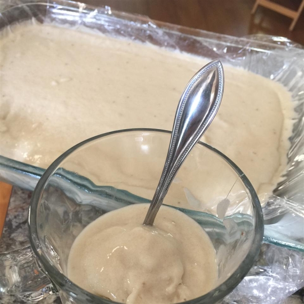 Paleo Tropical Ice Cream