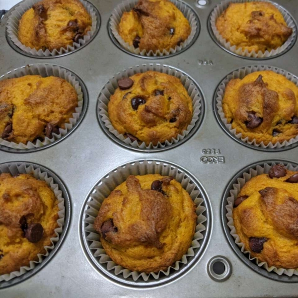 Pumpkin-Dark Chocolate Chip Muffins