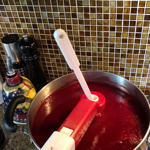 Plum Chipotle Sauce