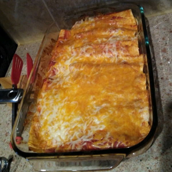 Cheese Enchiladas