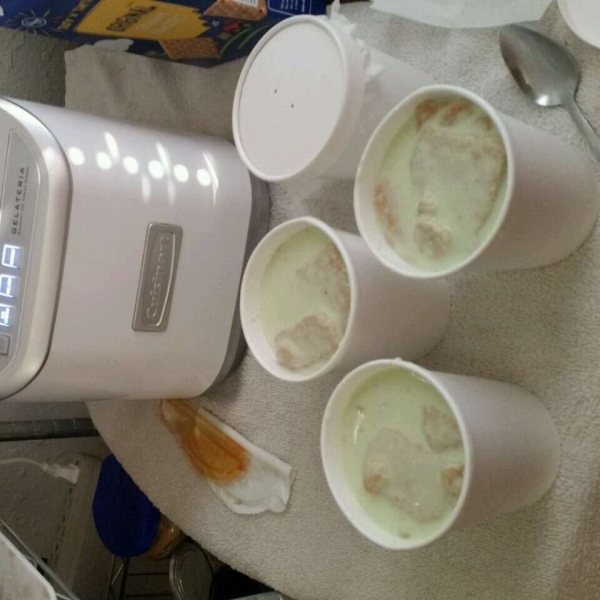 Truly Key Lime Pie Ice Cream